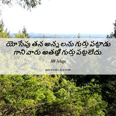 Picture 06 - ఆదికాండం 42:8 TELIRV - యోసేపు తన అన్నలను - Bible Verse Picture