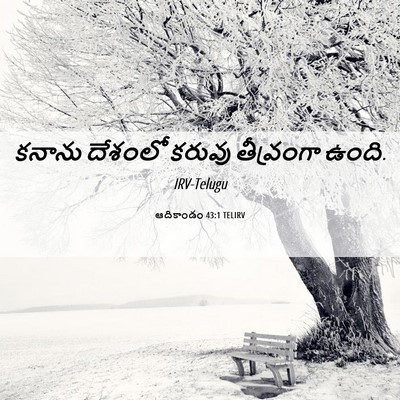 Picture 06 - ఆదికాండం 43:1 TELIRV - కనాను దేశంలో - Bible Verse Picture