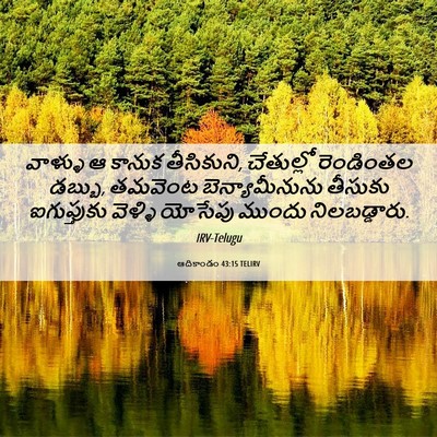 Picture 06 - ఆదికాండం 43:15 TELIRV - వాళ్ళు ఆ కానుక - Bible Verse Picture
