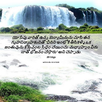Picture 06 - ఆదికాండం 43:16 TELIRV - యోసేపు వారితో - Bible Verse Picture