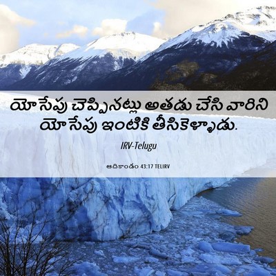 Picture 06 - ఆదికాండం 43:17 TELIRV - యోసేపు - Bible Verse Picture