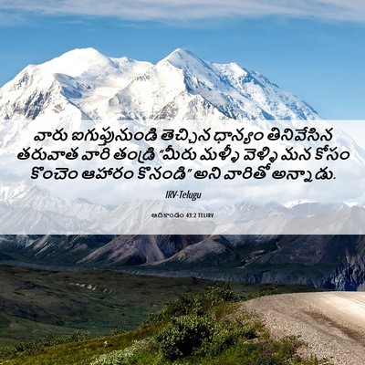 Picture 06 - ఆదికాండం 43:2 TELIRV - వారు ఐగుప్తునుండి - Bible Verse Picture