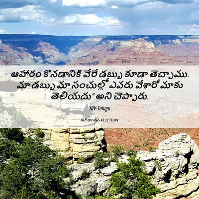 Picture 06 - ఆదికాండం 43:22 TELIRV - ఆహారం కొనడానికి - Bible Verse Picture