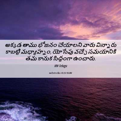 Picture 06 - ఆదికాండం 43:25 TELIRV - అక్కడ తాము భోజనం - Bible Verse Picture