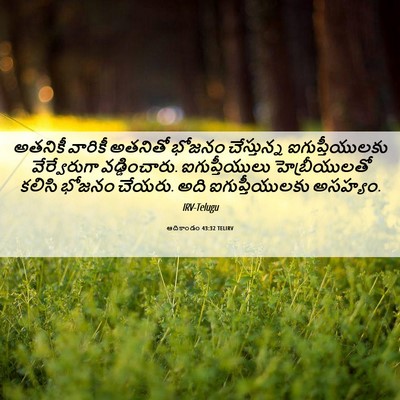 Picture 06 - ఆదికాండం 43:32 TELIRV - అతనికీ వారికీ - Bible Verse Picture