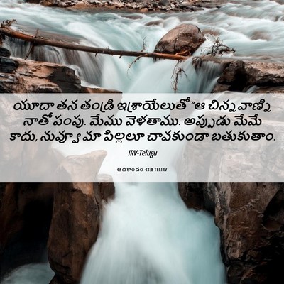 Picture 06 - ఆదికాండం 43:8 TELIRV - యూదా తన తండ్రి - Bible Verse Picture