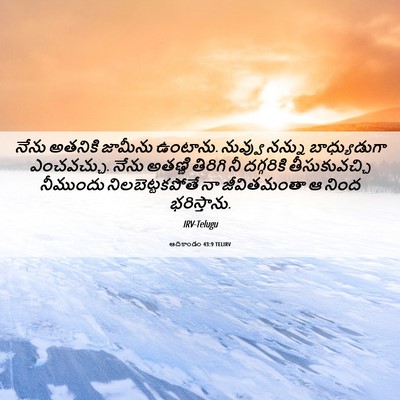 Picture 06 - ఆదికాండం 43:9 TELIRV - నేను అతనికి - Bible Verse Picture