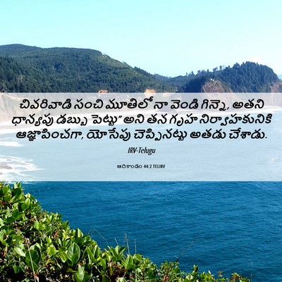 Picture 06 - ఆదికాండం 44:2 TELIRV - చివరివాడి సంచి - Bible Verse Picture