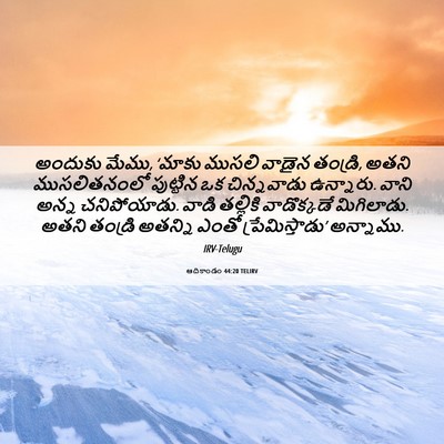 Picture 06 - ఆదికాండం 44:20 TELIRV - అందుకు మేము, ‘మాకు - Bible Verse Picture