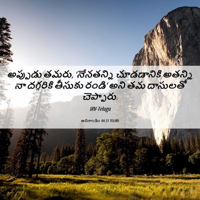 Picture 06 - ఆదికాండం 44:21 TELIRV - అప్పుడు తమరు, - Bible Verse Picture