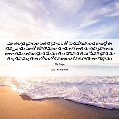 Picture 06 - ఆదికాండం 44:31 TELIRV - మా తండ్రి ప్రాణం - Bible Verse Picture
