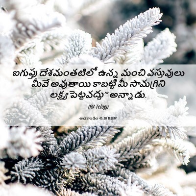 Picture 06 - ఆదికాండం 45:20 TELIRV - ఐగుప్తు - Bible Verse Picture