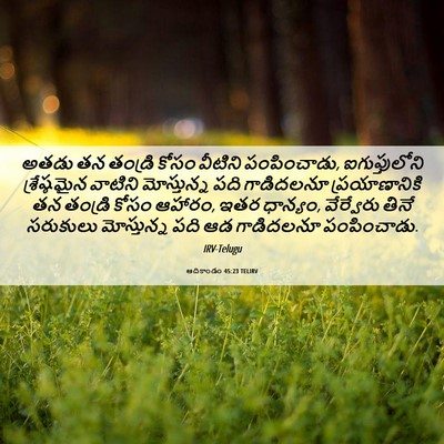 Picture 06 - ఆదికాండం 45:23 TELIRV - అతడు తన తండ్రి - Bible Verse Picture