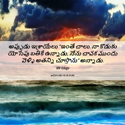 Picture 06 - ఆదికాండం 45:28 TELIRV - అప్పుడు ఇశ్రాయేలు - Bible Verse Picture