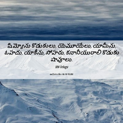 Picture 06 - ఆదికాండం 46:10 TELIRV - షిమ్యోను - Bible Verse Picture
