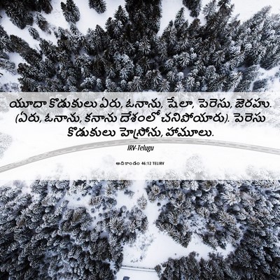 Picture 06 - ఆదికాండం 46:12 TELIRV - యూదా కొడుకులు ఏరు, - Bible Verse Picture