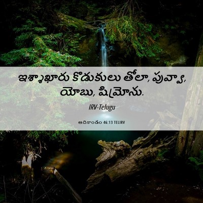 Picture 06 - ఆదికాండం 46:13 TELIRV - ఇశ్శాఖారు - Bible Verse Picture