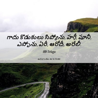 Picture 06 - ఆదికాండం 46:16 TELIRV - గాదు కొడుకులు - Bible Verse Picture