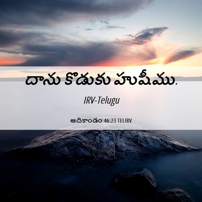 Picture 06 - ఆదికాండం 46:23 TELIRV - దాను కొడుకు - Bible Verse Picture