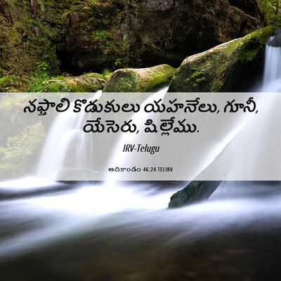 Picture 06 - ఆదికాండం 46:24 TELIRV - నఫ్తాలి కొడుకులు - Bible Verse Picture