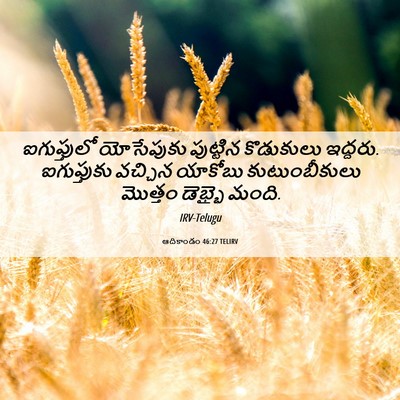 Picture 06 - ఆదికాండం 46:27 TELIRV - ఐగుప్తులో - Bible Verse Picture