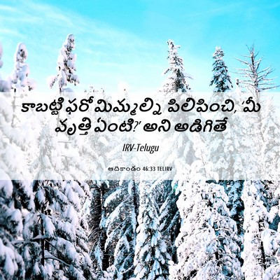Picture 06 - ఆదికాండం 46:33 TELIRV - కాబట్టి ఫరో - Bible Verse Picture