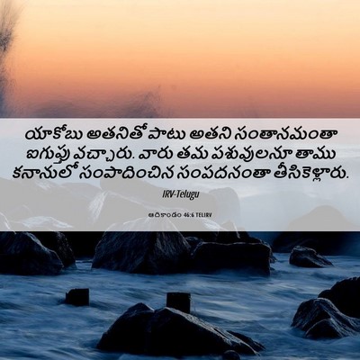 Picture 06 - ఆదికాండం 46:6 TELIRV - యాకోబు అతనితో - Bible Verse Picture