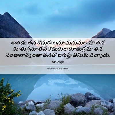 Picture 06 - ఆదికాండం 46:7 TELIRV - అతడు తన కొడుకులనూ - Bible Verse Picture