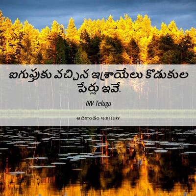Picture 06 - ఆదికాండం 46:8 TELIRV - ఐగుప్తుకు వచ్చిన - Bible Verse Picture