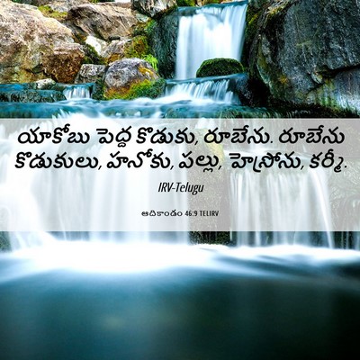 Picture 06 - ఆదికాండం 46:9 TELIRV - యాకోబు పెద్ద - Bible Verse Picture