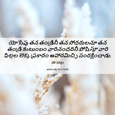 Picture 06 - ఆదికాండం 47:12 TELIRV - యోసేపు తన - Bible Verse Picture