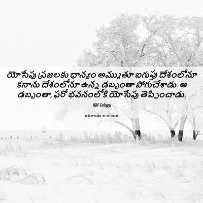 Picture 06 - ఆదికాండం 47:14 TELIRV - యోసేపు ప్రజలకు - Bible Verse Picture