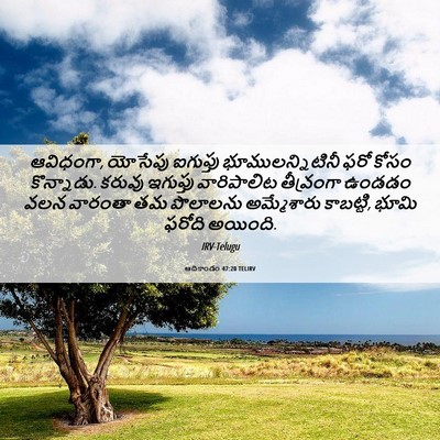 Picture 06 - ఆదికాండం 47:20 TELIRV - ఆవిధంగా, యోసేపు - Bible Verse Picture