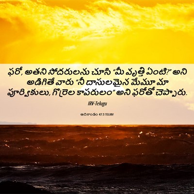 Picture 06 - ఆదికాండం 47:3 TELIRV - ఫరో, అతని సోదరులను - Bible Verse Picture