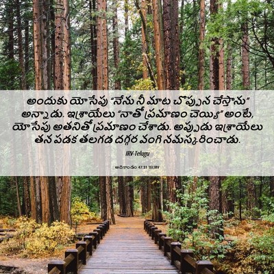 Picture 06 - ఆదికాండం 47:31 TELIRV - అందుకు యోసేపు - Bible Verse Picture