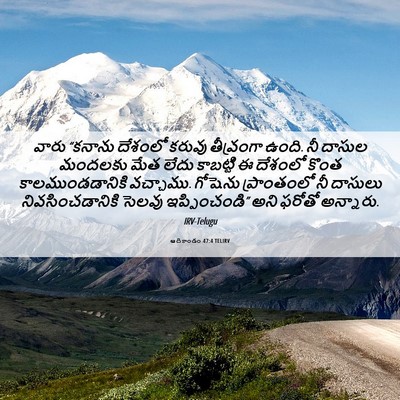 Picture 06 - ఆదికాండం 47:4 TELIRV - వారు “కనాను - Bible Verse Picture