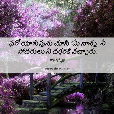Picture 06 - ఆదికాండం 47:5 TELIRV - ఫరో యోసేపును చూసి - Bible Verse Picture