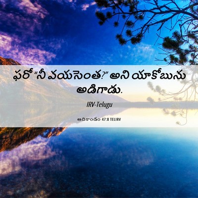 Picture 06 - ఆదికాండం 47:8 TELIRV - ఫరో “నీ వయసెంత?” - Bible Verse Picture