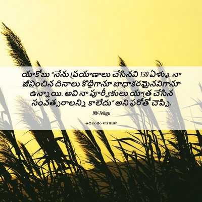Picture 06 - ఆదికాండం 47:9 TELIRV - యాకోబు “నేను - Bible Verse Picture