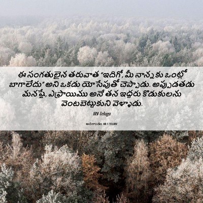Picture 06 - ఆదికాండం 48:1 TELIRV - ఈ సంగతులైన తరువాత - Bible Verse Picture