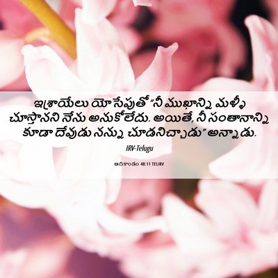 Picture 06 - ఆదికాండం 48:11 TELIRV - ఇశ్రాయేలు - Bible Verse Picture