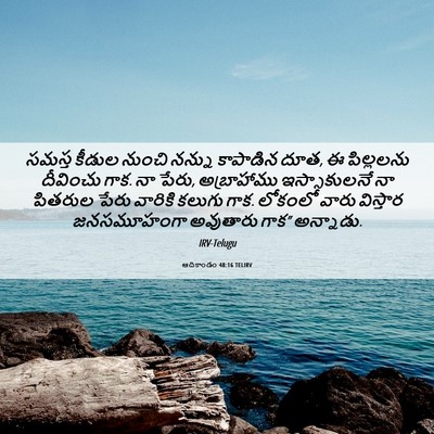 Picture 06 - ఆదికాండం 48:16 TELIRV - సమస్త కీడుల నుంచి - Bible Verse Picture
