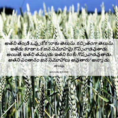 Picture 06 - ఆదికాండం 48:19 TELIRV - అతని తండ్రి - Bible Verse Picture
