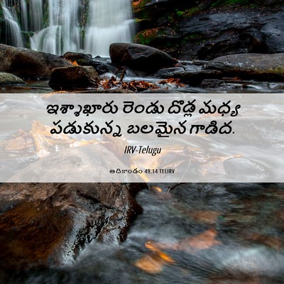Picture 06 - ఆదికాండం 49:14 TELIRV - ఇశ్శాఖారు రెండు - Bible Verse Picture