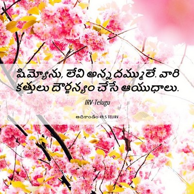 Picture 06 - ఆదికాండం 49:5 TELIRV - షిమ్యోను, లేవి - Bible Verse Picture