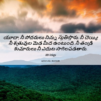 Picture 06 - ఆదికాండం 49:8 TELIRV - యూదా, నీ సోదరులు - Bible Verse Picture
