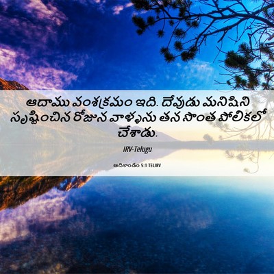Picture 06 - ఆదికాండం 5:1 TELIRV - ఆదాము వంశక్రమం - Bible Verse Picture