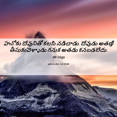 Picture 06 - ఆదికాండం 5:24 TELIRV - హనోకు దేవునితో - Bible Verse Picture