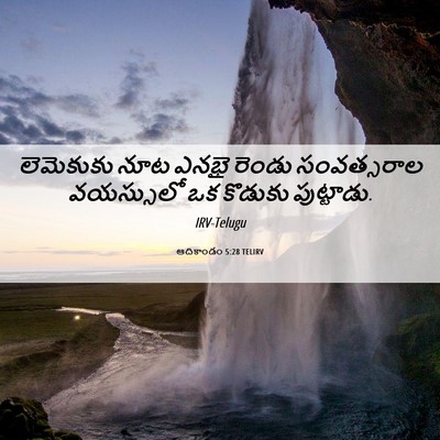 Picture 06 - ఆదికాండం 5:28 TELIRV - లెమెకుకు నూట ఎనభై - Bible Verse Picture