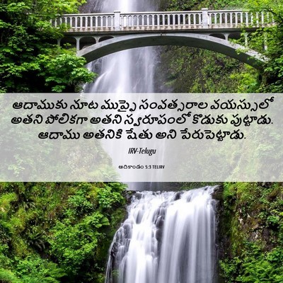 Picture 06 - ఆదికాండం 5:3 TELIRV - ఆదాముకు నూట - Bible Verse Picture